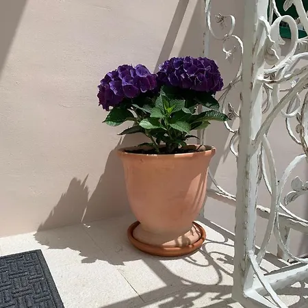 Karmelita's Place 시베니크