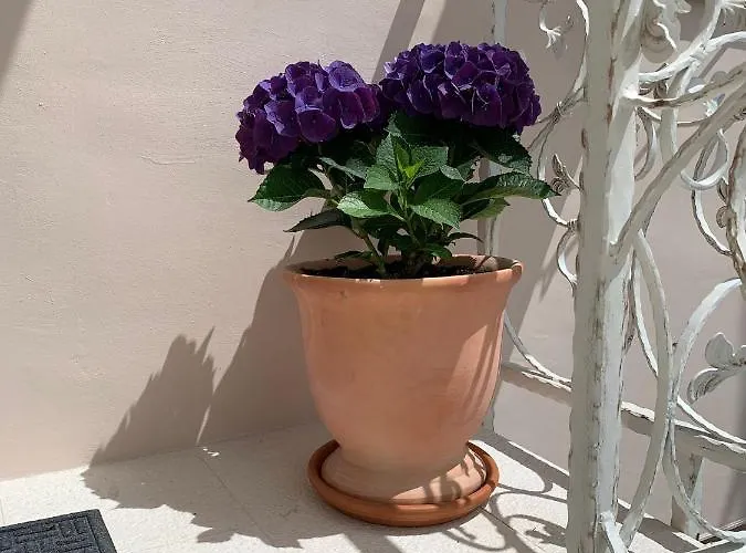 Karmelita's Place Шибеник